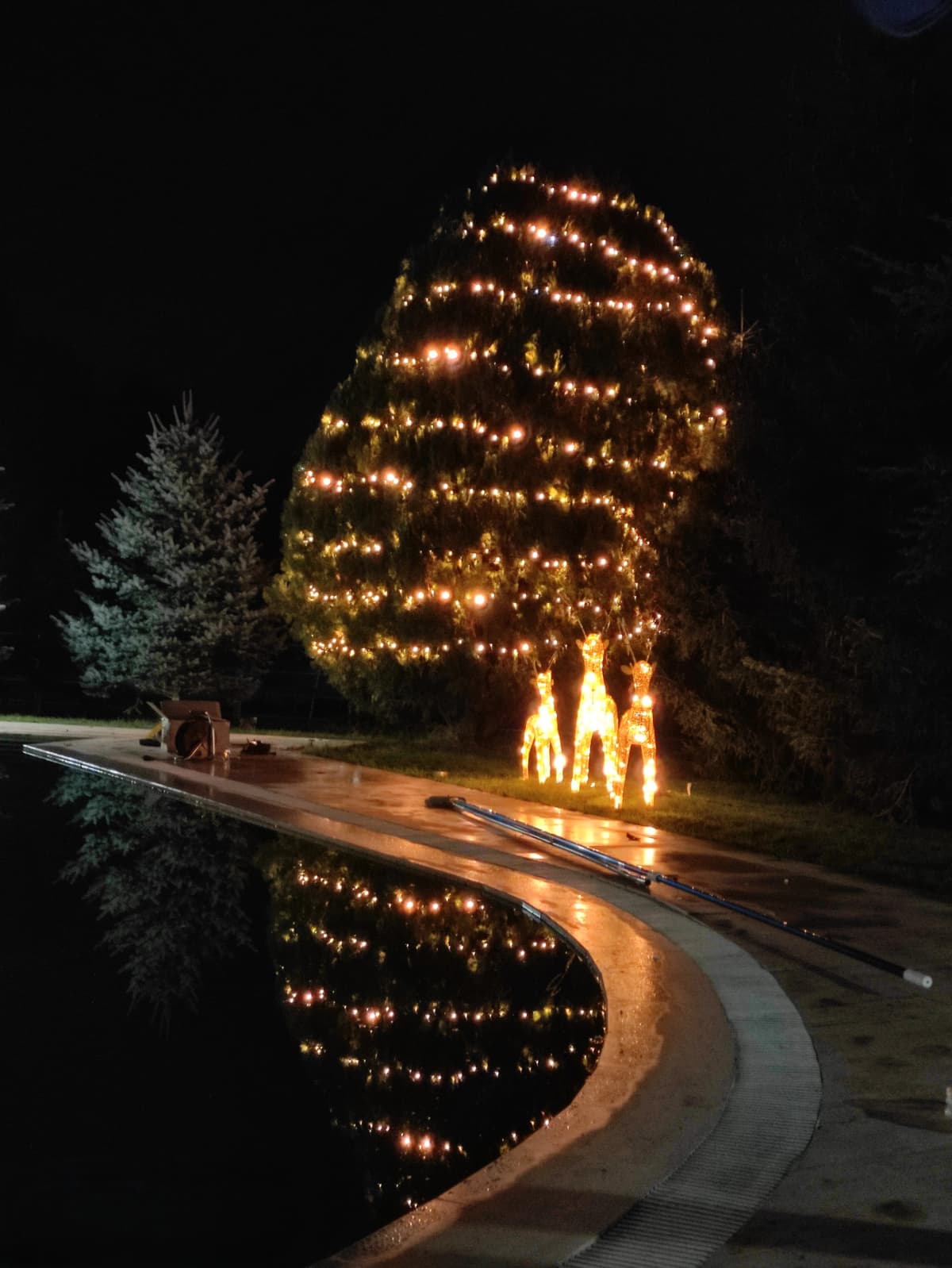 Ağaçlar LED Işıklandırma Yılbaşı