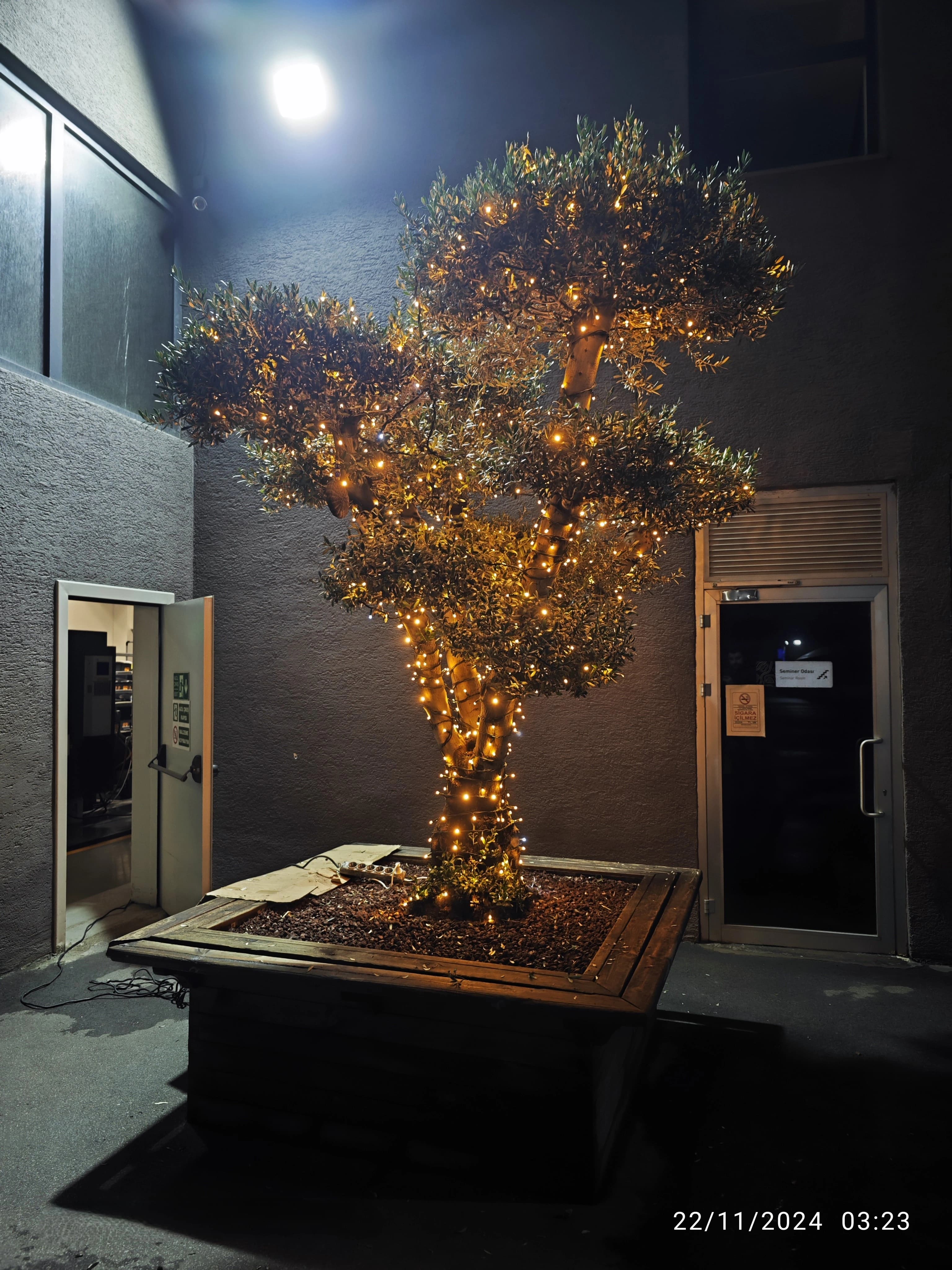 Düğün ve Özel Etkinlik Işık Dekorasyon Rehberi 2026: Açık Alan ve Salon Uygulamaları