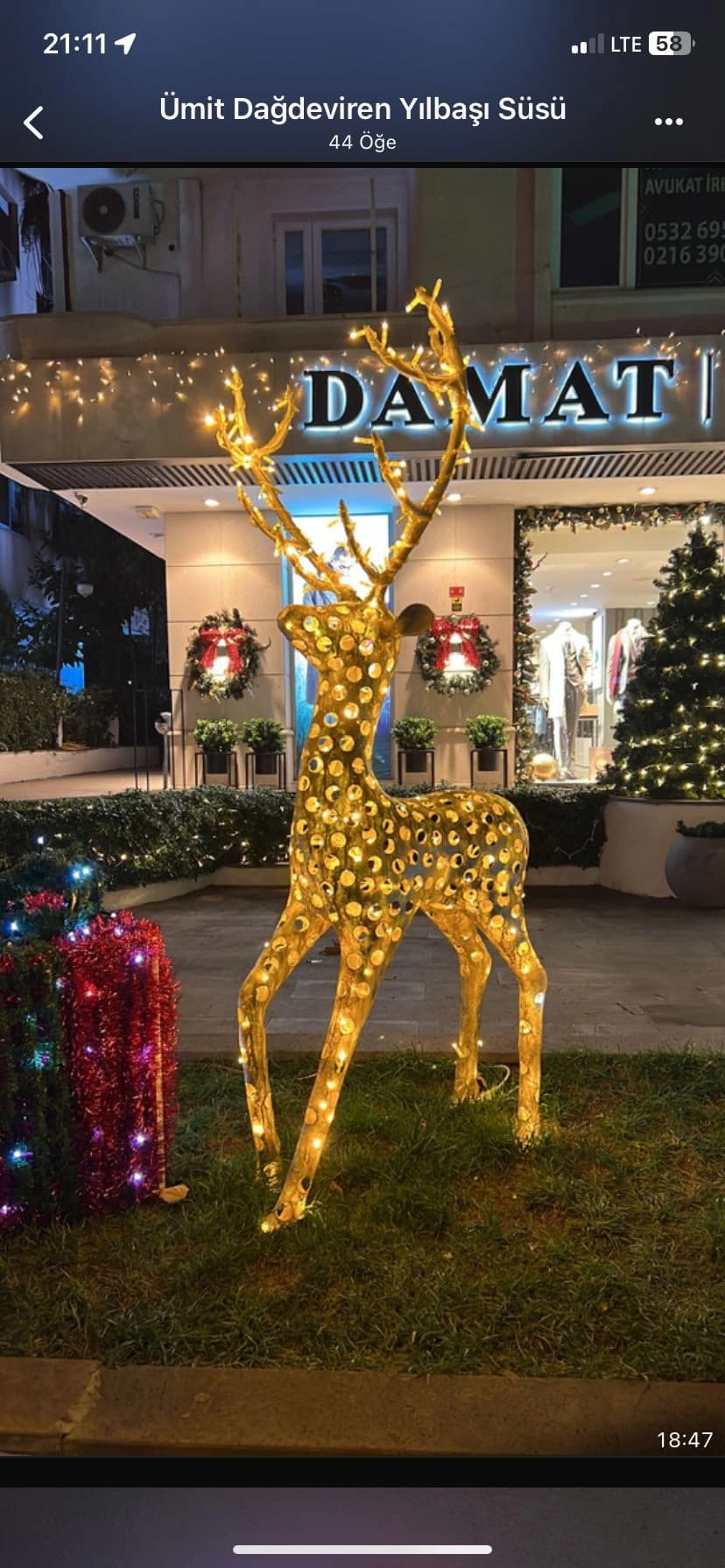 Cam Ağacı Yılbaşı Ağacı