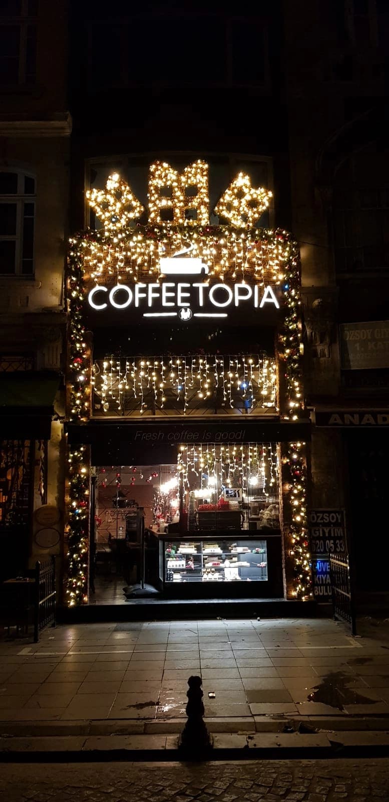 Dış Cephe Yılbaşı Işıklar Hortum LED