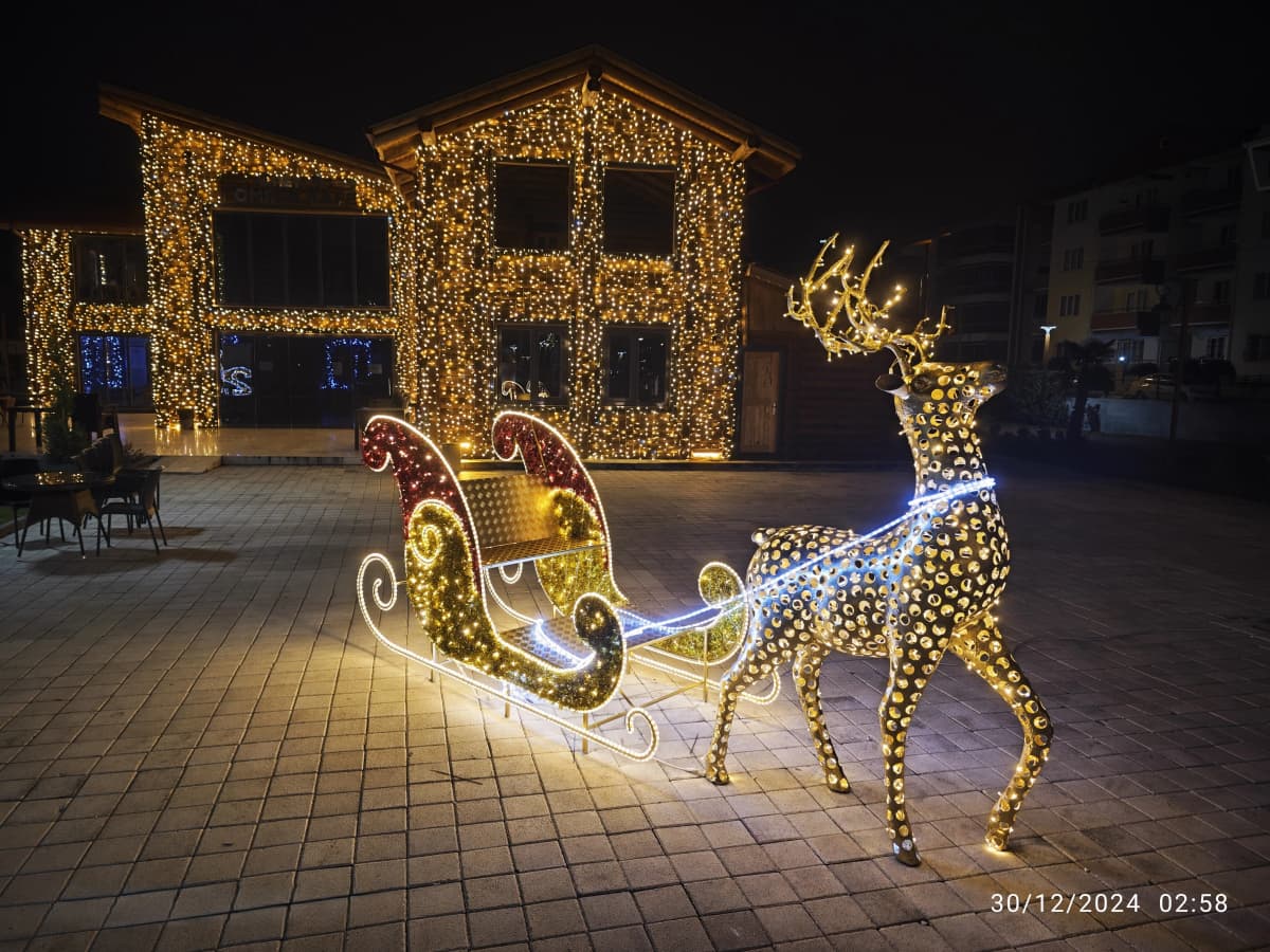 Işıklı Ev Geyik Kızak Yılbaşı