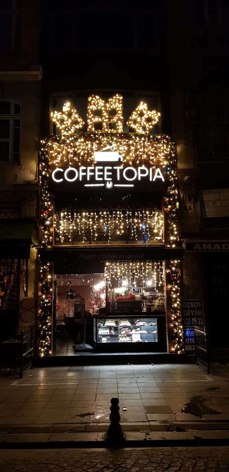 Hortum LED dış cephe yılbaşı ışıkları